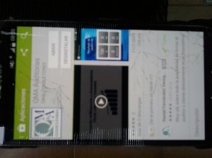 APP AUDITORIAS INTERNAS