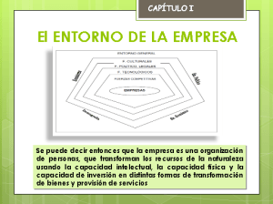 Entorno de la Organización